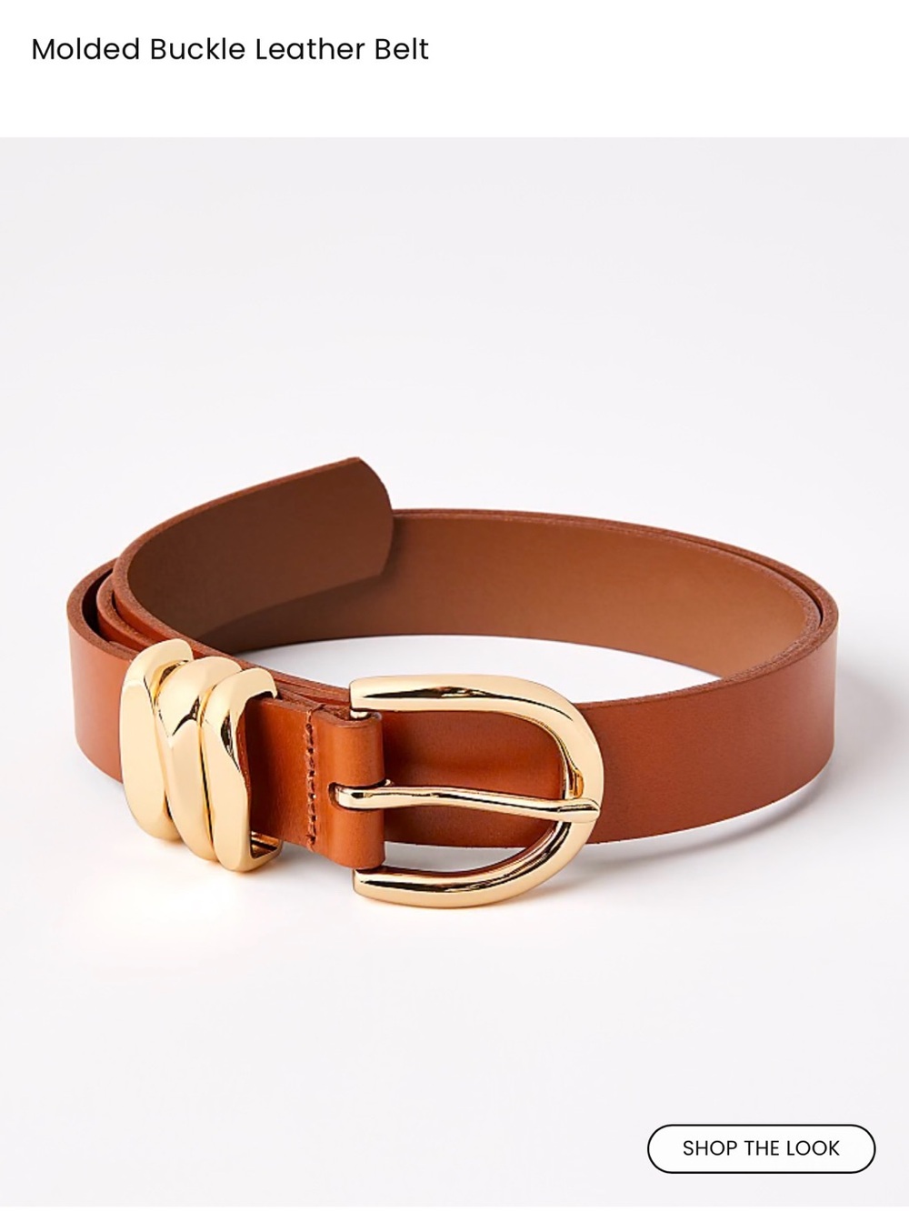 LOFT Brown Leather Belt with Gold Molded Buckle